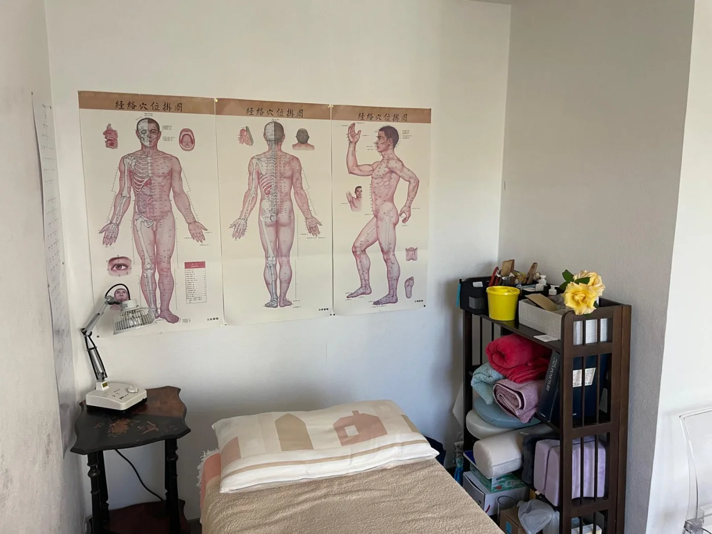 Salle de soin lumineuse du Cabinet des Roses, table et planches d'acupuncture chinoises